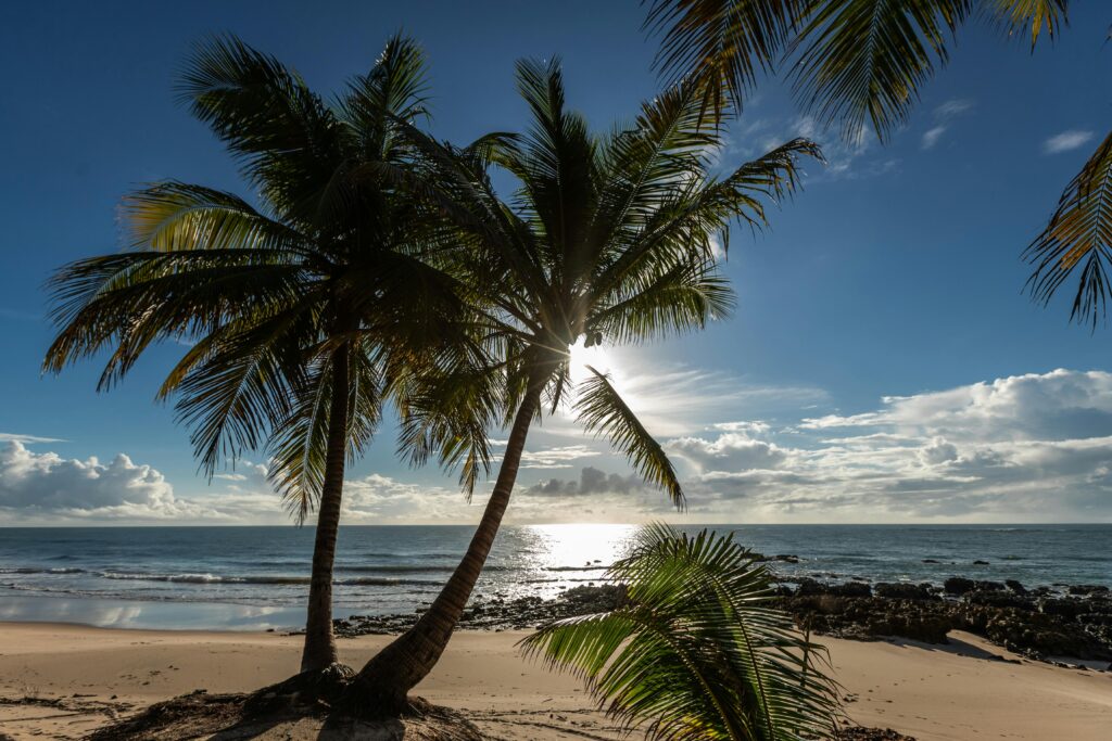 10 Roteiros Incríveis para Explorar o Nordeste Brasileiro em 2024