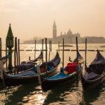 venice, gondolas, nature