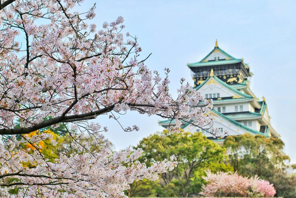 Capture of Osaka Castle surrounded by beautiful cherry blossoms during spring. A stunning blend of nature and architecture.